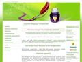 http://webdesign-honlapkeszites.hu ismertető oldala